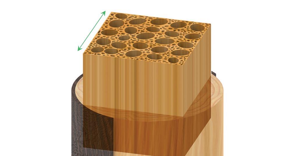 Bullet Proof Wood Developed Research Chemistry World