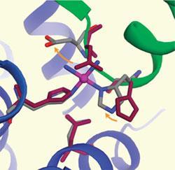 Anticancer drug found to cause zinc deficiency | News | Chemistry World