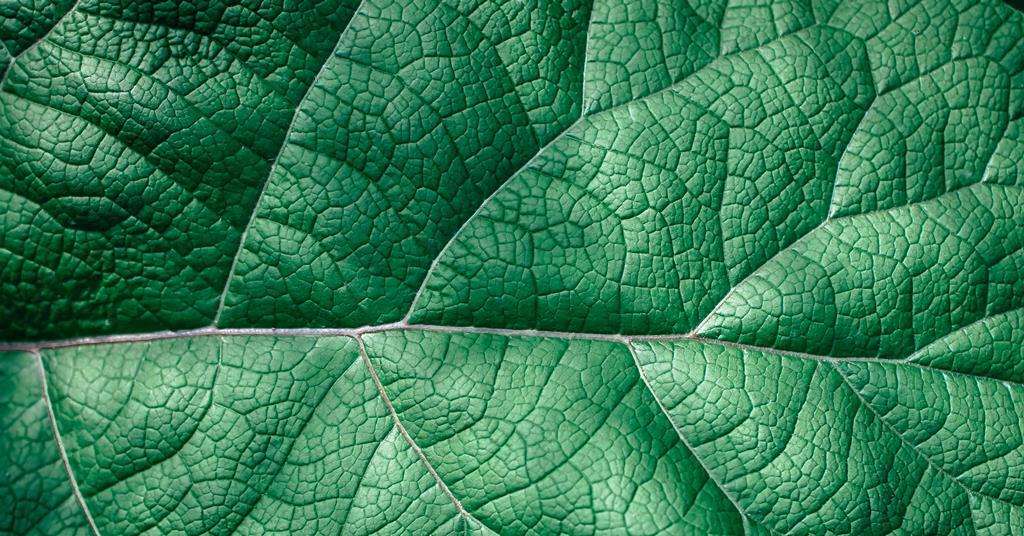 Cutting-edge cosmetics: innovating for sustainability with machine