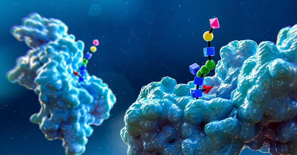 L’imagerie directe révèle des glycanes individuels liés aux protéines avec de nouveaux détails
