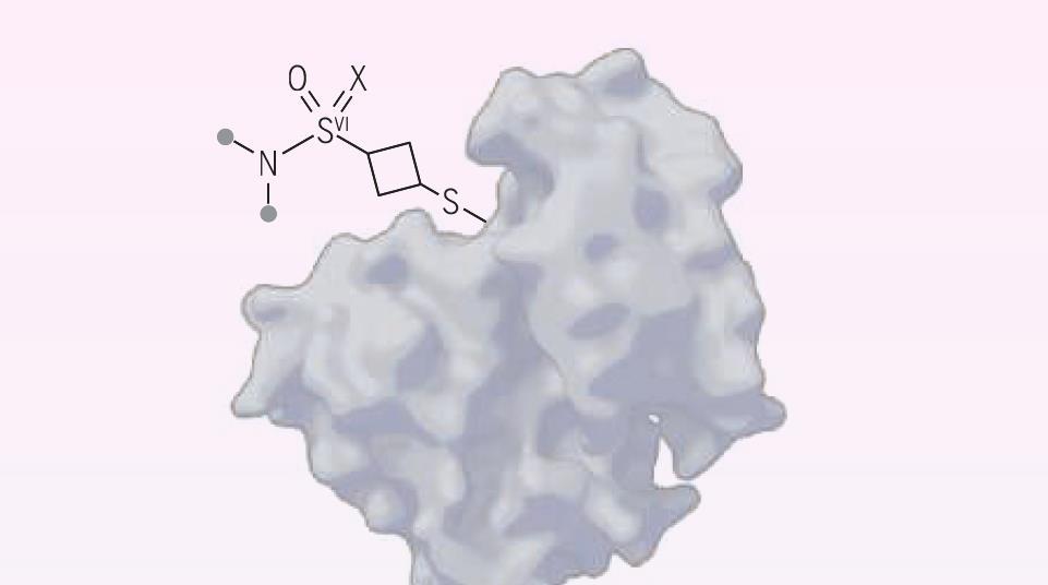 Covalent drugs just got a new ‘spring-loaded’ warhead | Research