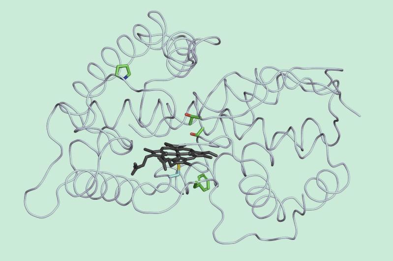 Carbene chemistry built into microbe’s metabolism in first for ...