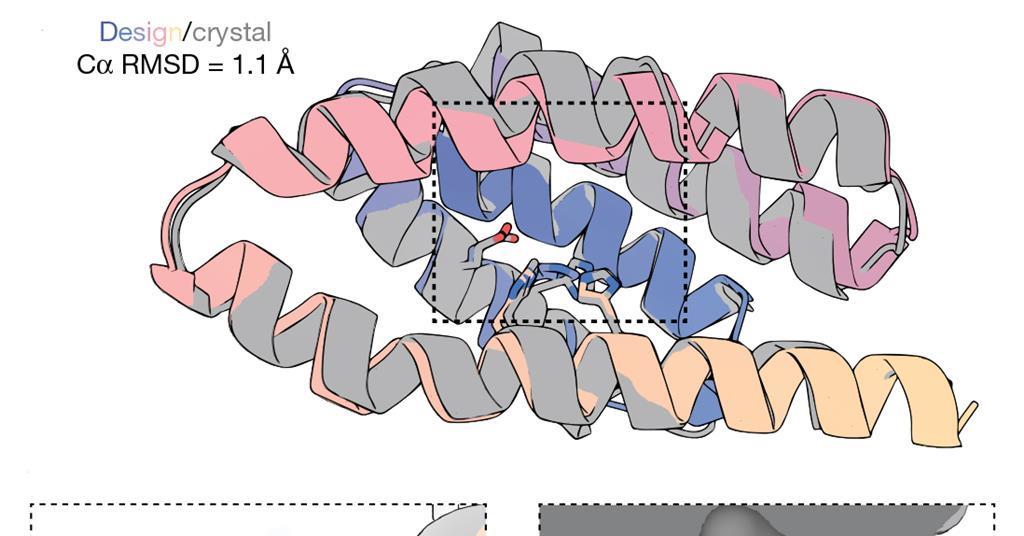 Protein design takes big leap forward as model produces enzymes almost as effective as nature’s