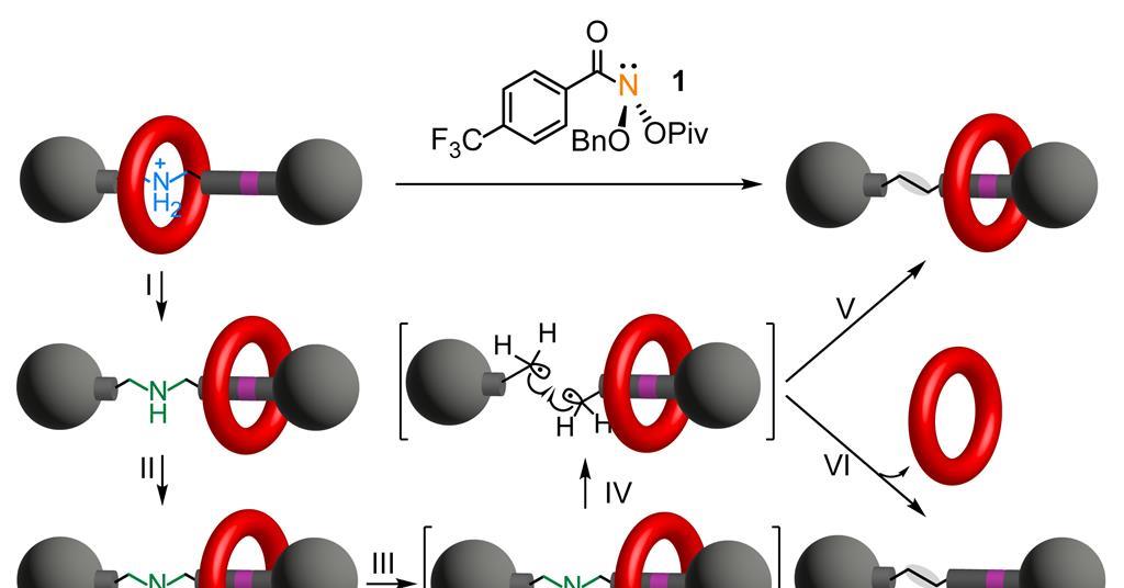 Skeletal editing technique removes nitrogen atoms from rotaxanes