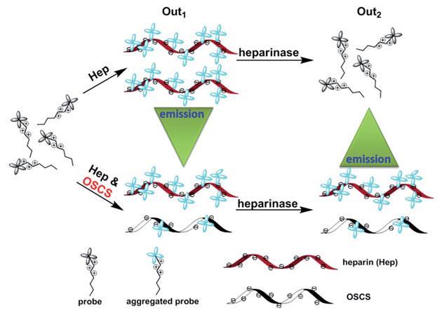 Simple probe for heparin quality control | Research | Chemistry World