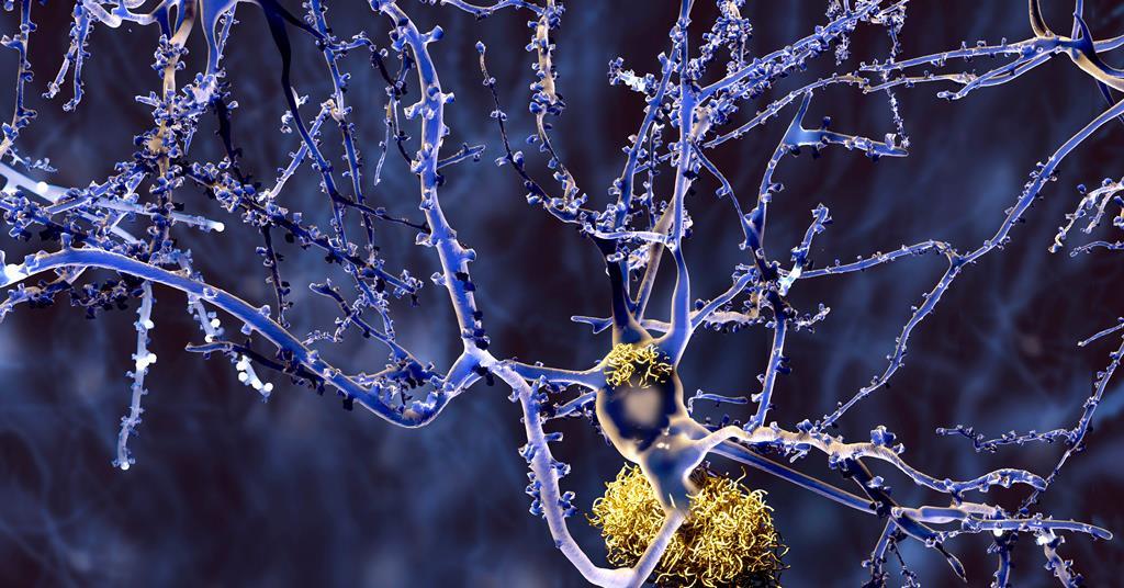 Alzheimer’s, amyloid and abandoned antibodies