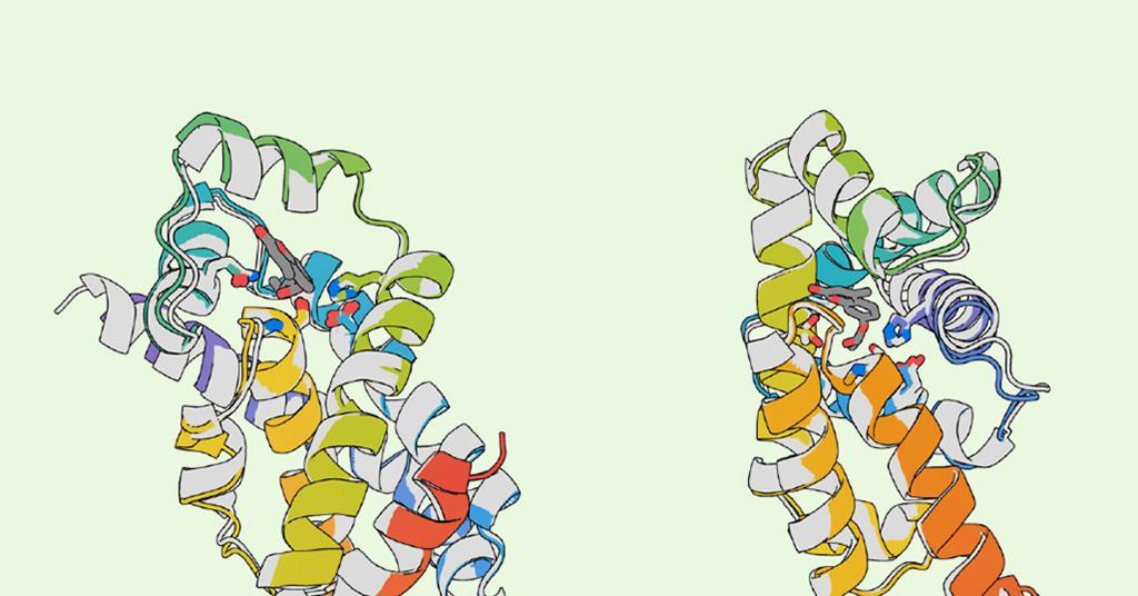 Designer protein performs multi-step catalysis with life-like performance | Research