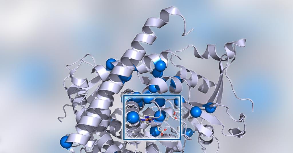 The Enzyme Effect How Nature Achieves Instant Reactions - 4816a1n