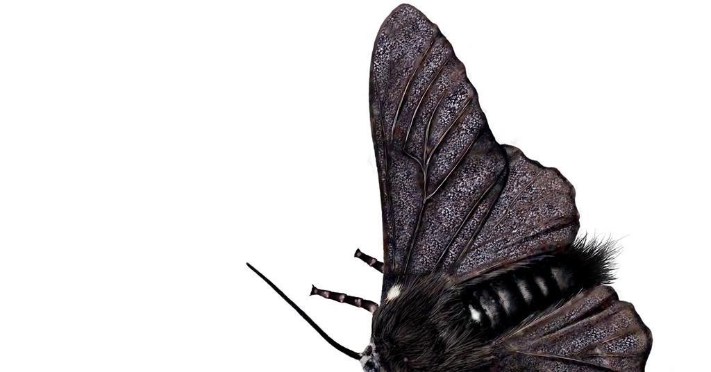 Autocatalytic networks could lie at the beginning of evolution | Opinion