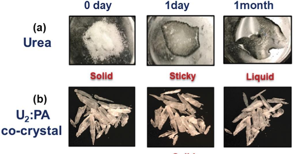 Fertiliser research sees urea enter the cocrystal palace Research