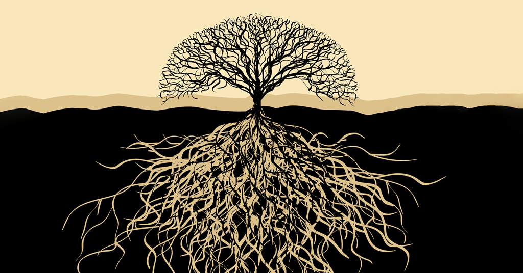 Lessons from flow chemistry | Opinion | Chemistry World