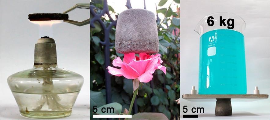 Graphene Flower