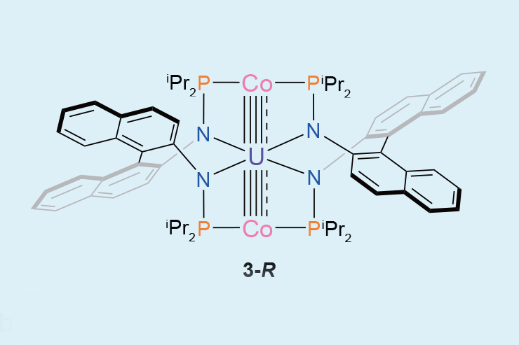 Record-breaking uranium–cobalt complex achieves 10 cumulative metal–metal bonds across three atoms