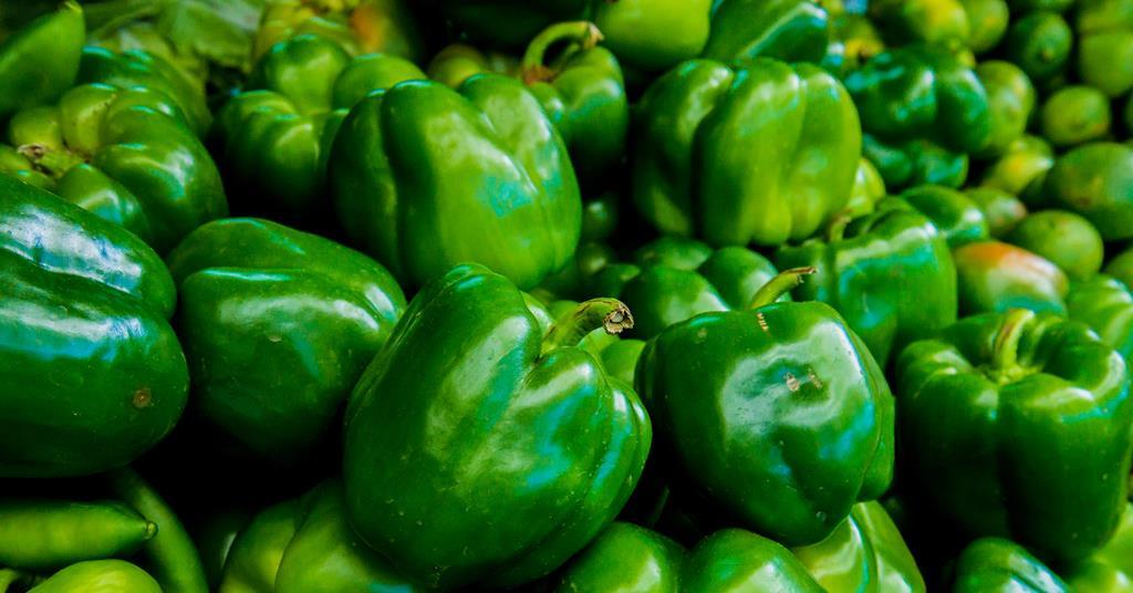 Geneedited crops and animals get the green light in England News