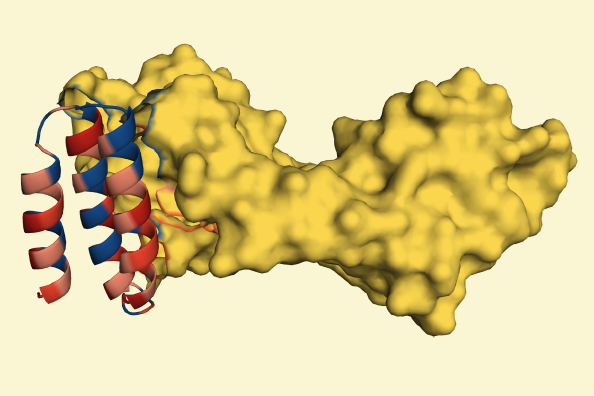 Google DeepMind watermarks AI-designed proteins to improve traceability and biosecurity