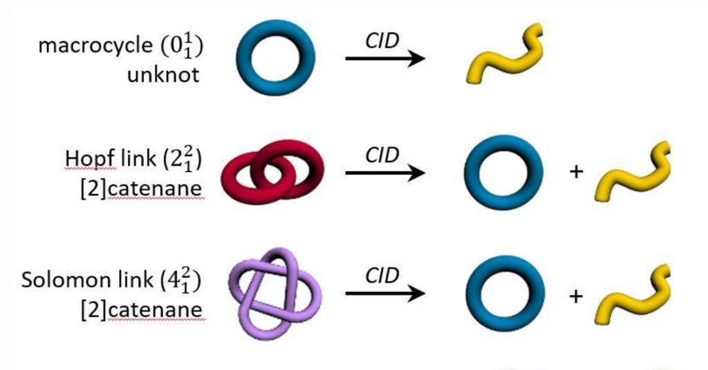 Floppiness Scale Untangles Knotted Molecules Research Chemistry World