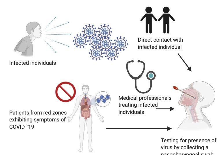 Evaluation of the disease, sample collection and diagnostics | Book ...