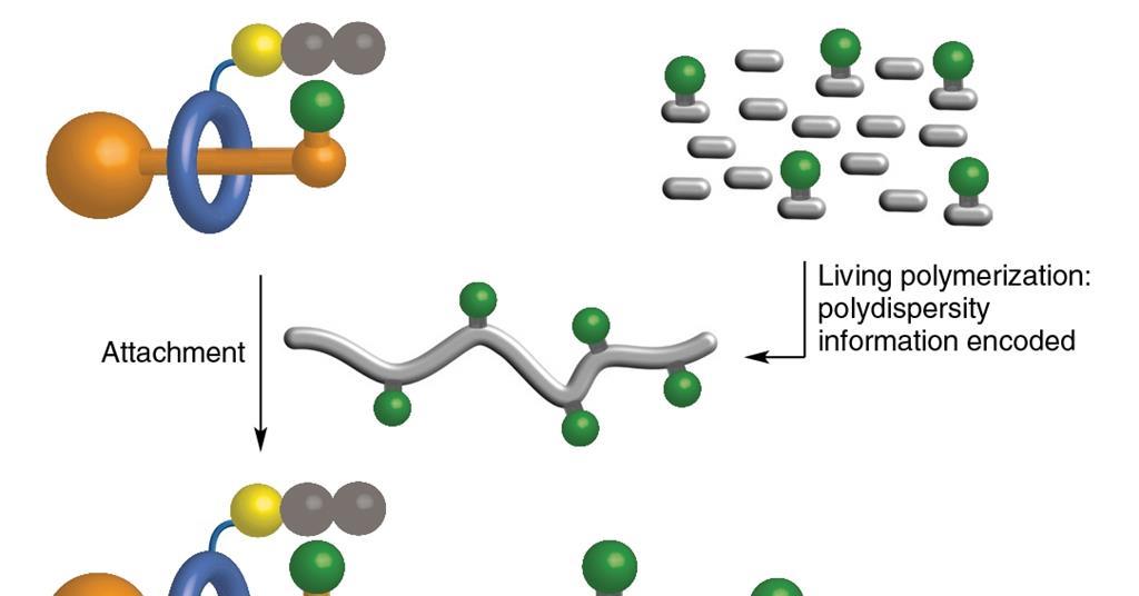 ‘Cyborg ribosome’ reads polystyrene message to create catalyst ...