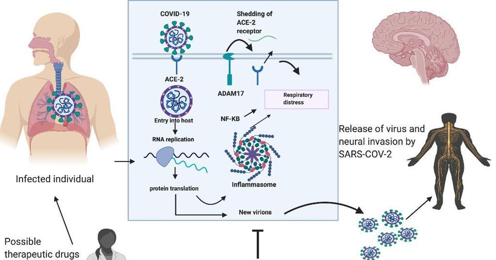 Therapeutic Options Initially Available For COVID-19 Patients And ...