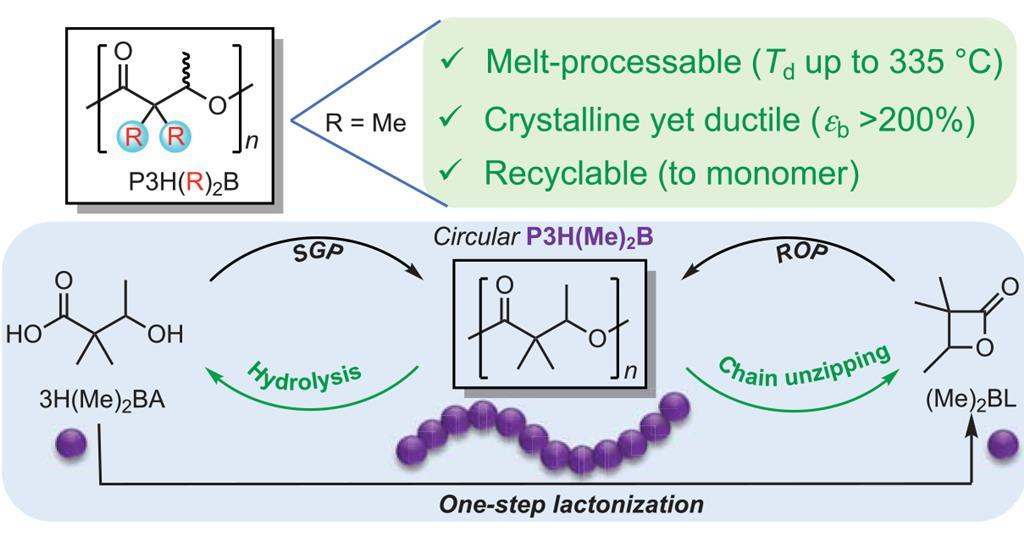 Redesigned Biopolymer Solves Thermal Stability Challenge | Research ...