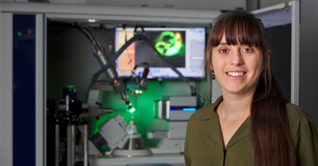 Shedding light on how photoactive crystals respond in real time