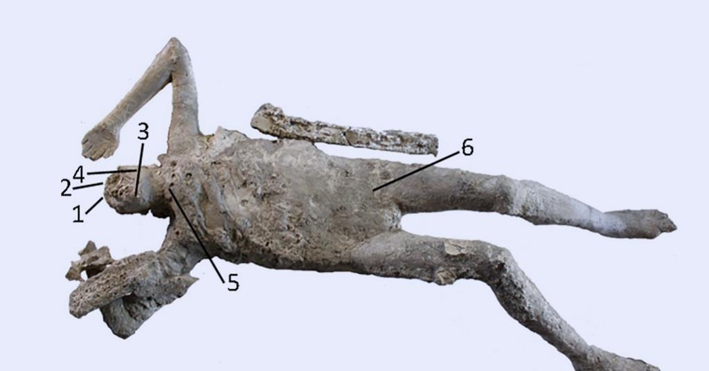 Elemental Analysis Sheds Light On Pompeii Victims’ Final Moments ...