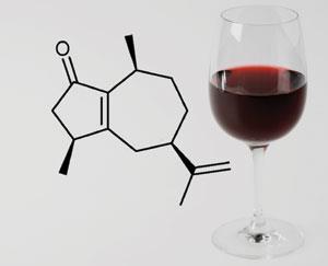 Overlooked pepper compound spices up red wine | News | Chemistry World