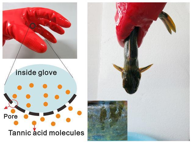 Mouth-puckering molecule inspires fish-catching glove