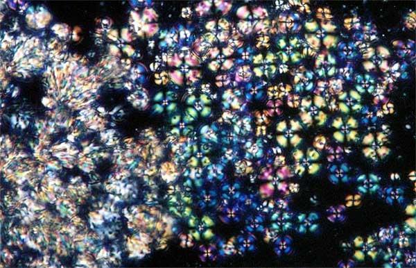Crystals Expained Crystal expansion makes light work of moving microbeads | Research ...