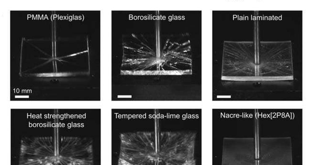 Borosilicate Glass vs Tempered Glass