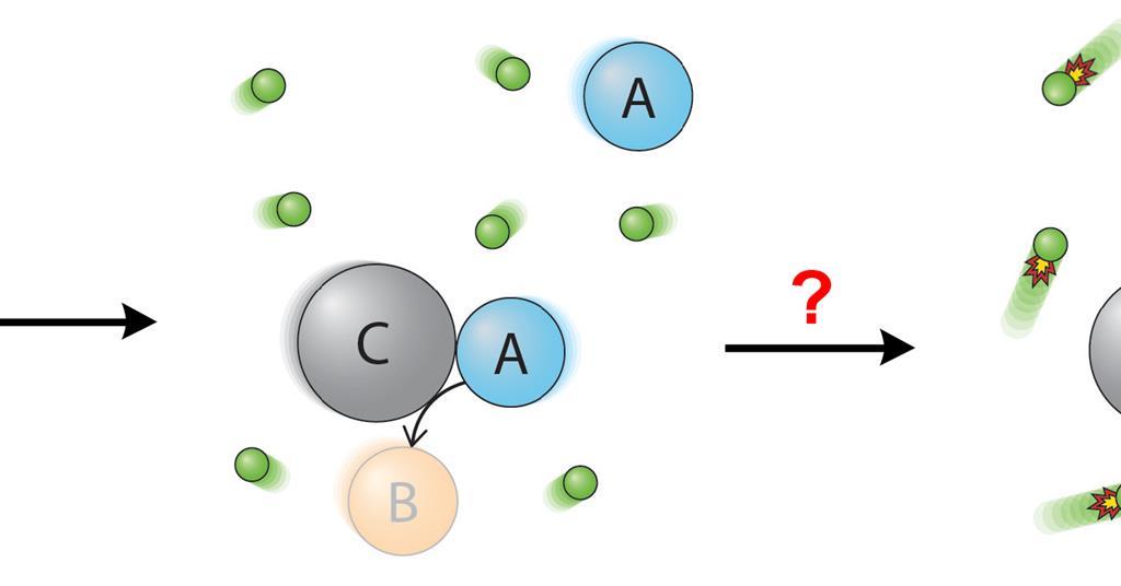 Swimming molecules come under intense scrutiny | Research | Chemistry World