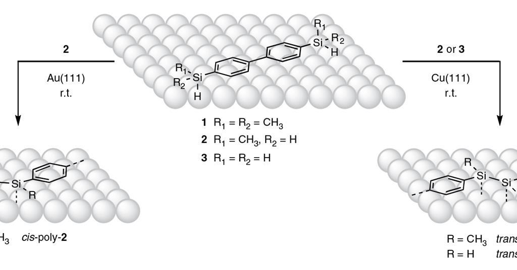 Unstable silicon double bonds tamed in polymers made on metals