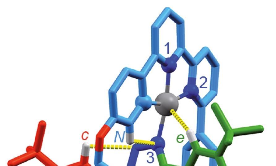 Beautiful molecules ring up with a purpose | Research | Chemistry World