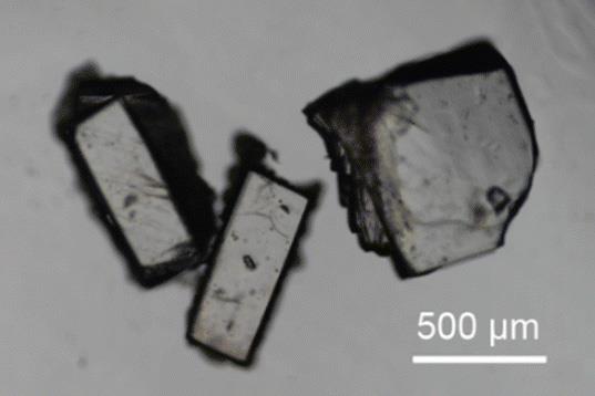 Stiffest organic crystals reported to date discovered in well-known material