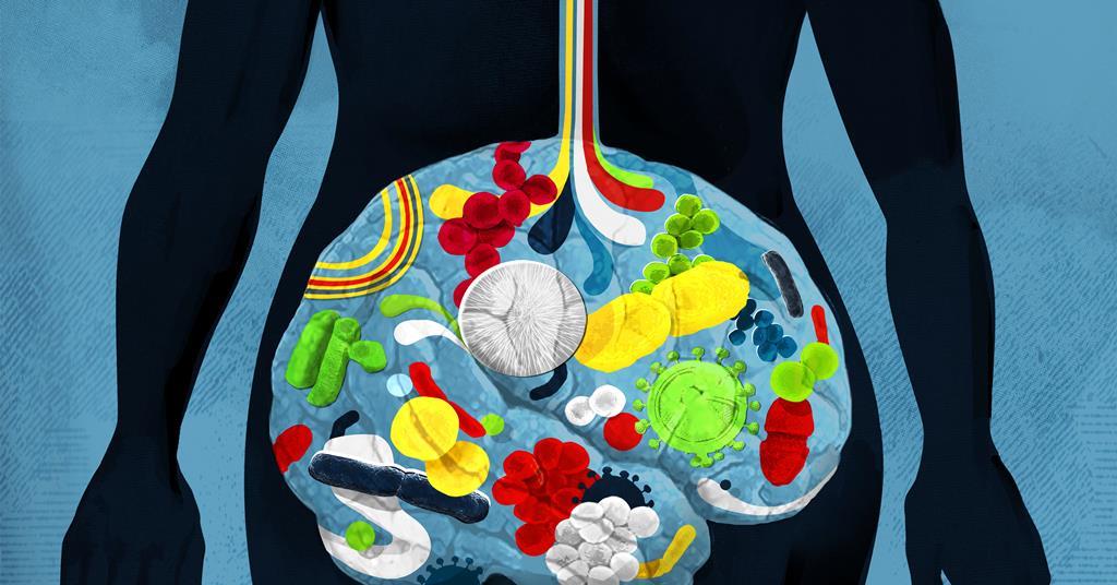 How microbes influence our brain health | Feature | Chemistry World