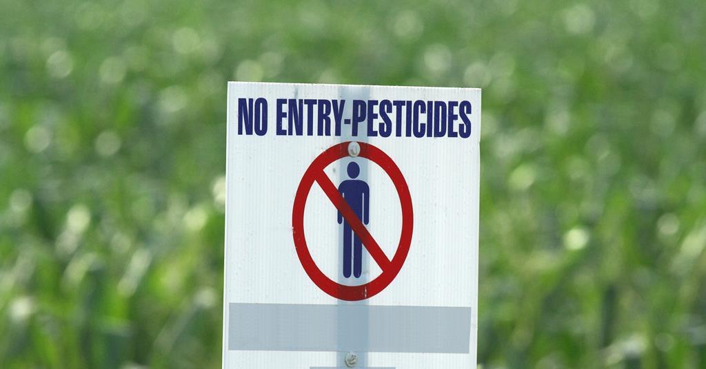 Monsanto menyetujui penyelesaian  juta untuk pelanggaran pestisida Hawaii |  Bisnis