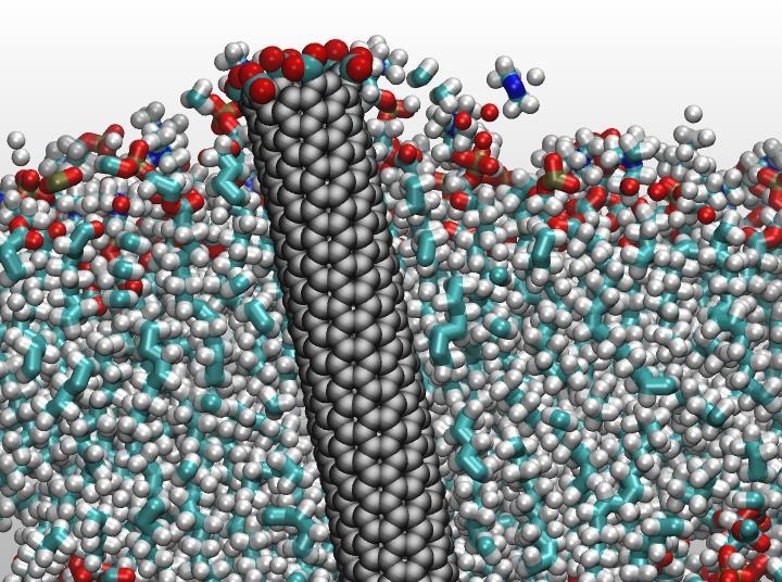 Carbon nanotube filters surpass nature's best water movers Research