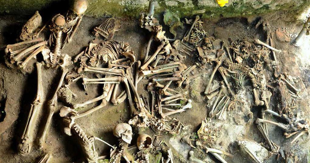 Isotope analysis of Vesuvius victims reveals how ancient Romans dined |  Research | Chemistry World