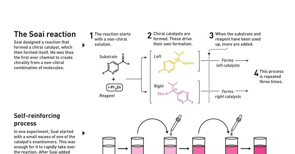 Explainer: what are autocatalysis and non-linear effects and why have they won the 2026 Nobel prize in ...