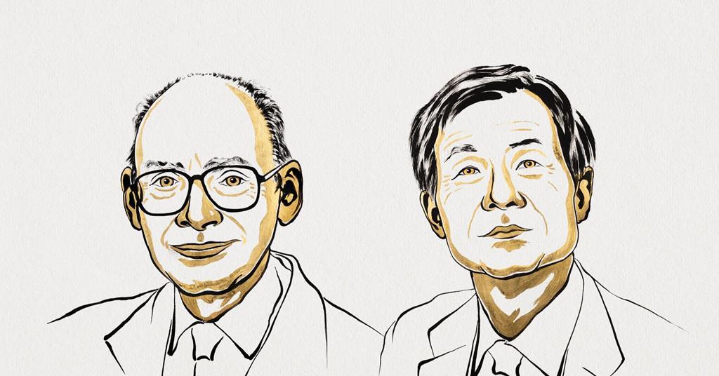 Reactions that demonstrate how homochirality can emerge take chemistry Nobel prize