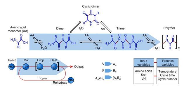 ‘Chemical search engine’ backs alternative route to life | Research ...