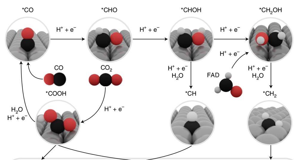 The Nickel Catalyst System Thats Turning Heads In The Energy World - z6u4slq