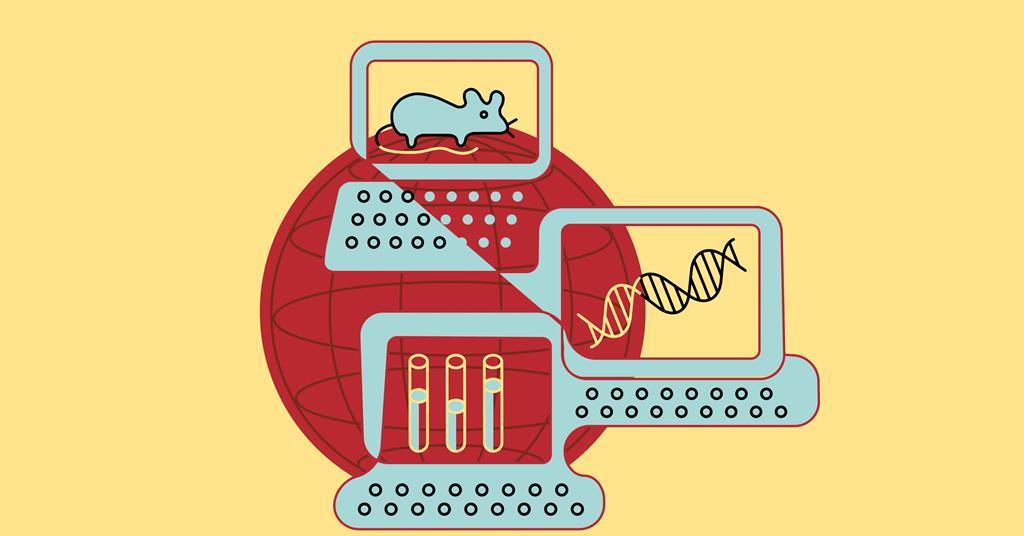 Research and regulations face-up to a new era of non-animal testing  alternatives | News | Chemistry World