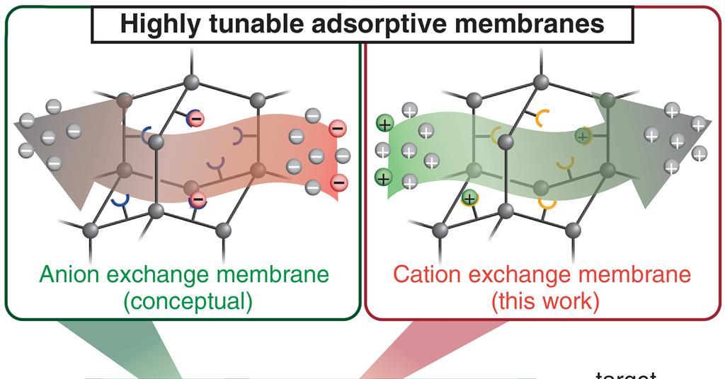 Ion trapping desalination membrane fishes out valuable materials - Vimarsana News
