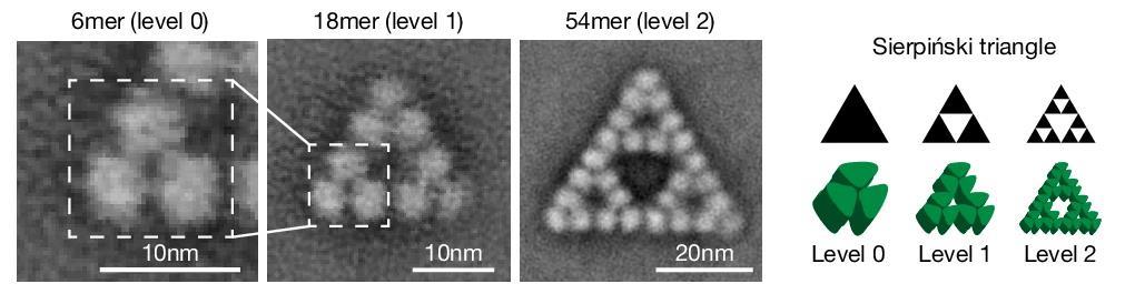 First Regular Molecular Fractal In Nature Research Chemistry World First Regular Molecular Fractal In Nature Research Chemistry World