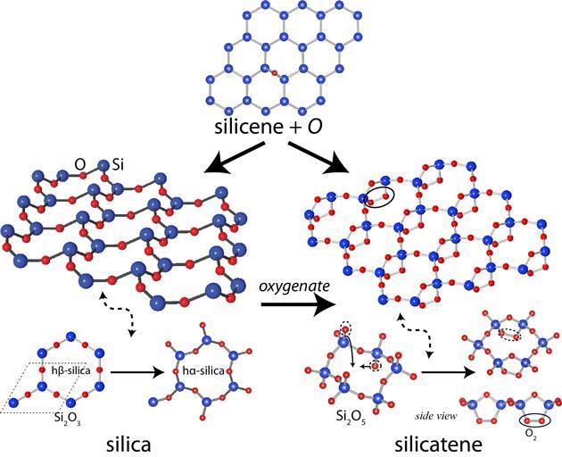 silica structure