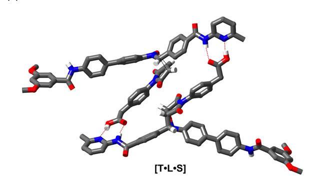 www.chemistryworld.com