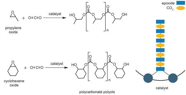 Catalytic carbon dioxide convertors | Business | Chemistry World