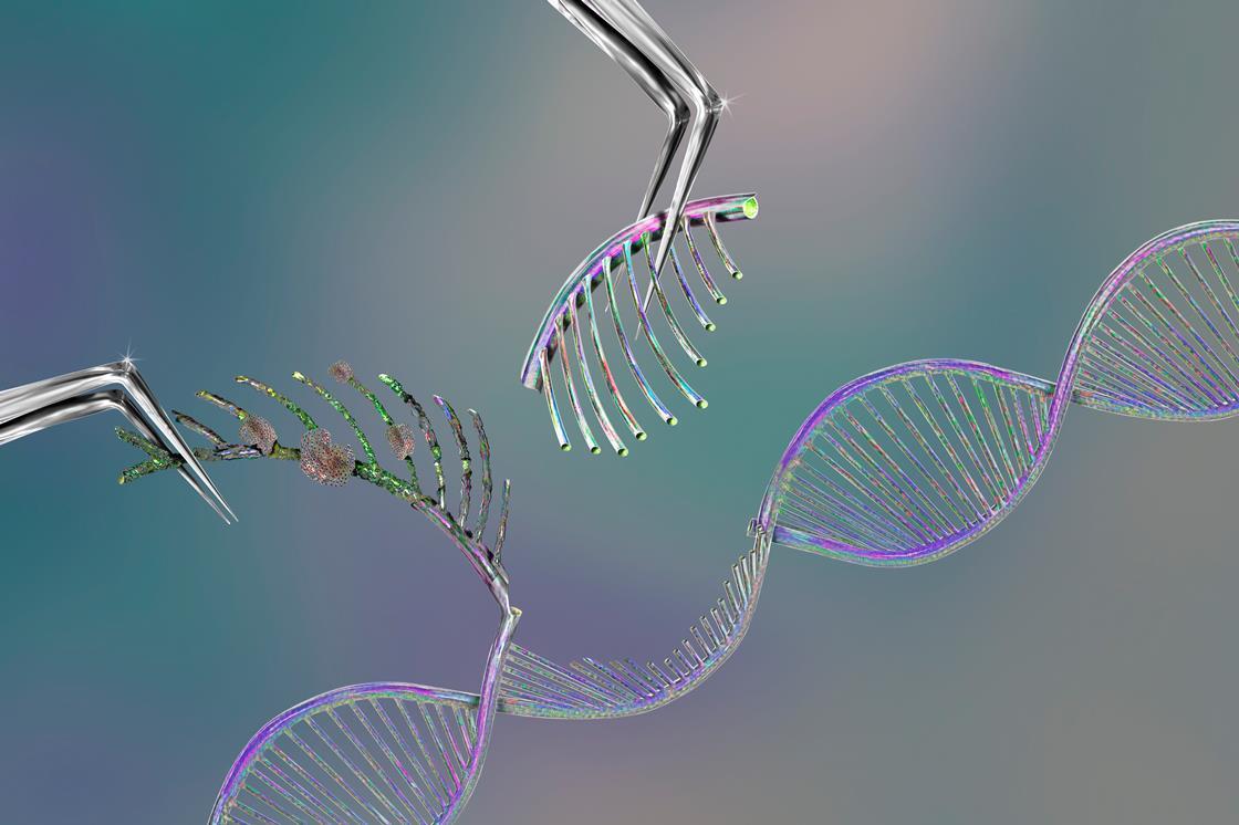 Crispr gene therapy: early challenges for Casgevy sickle cell treatment ...