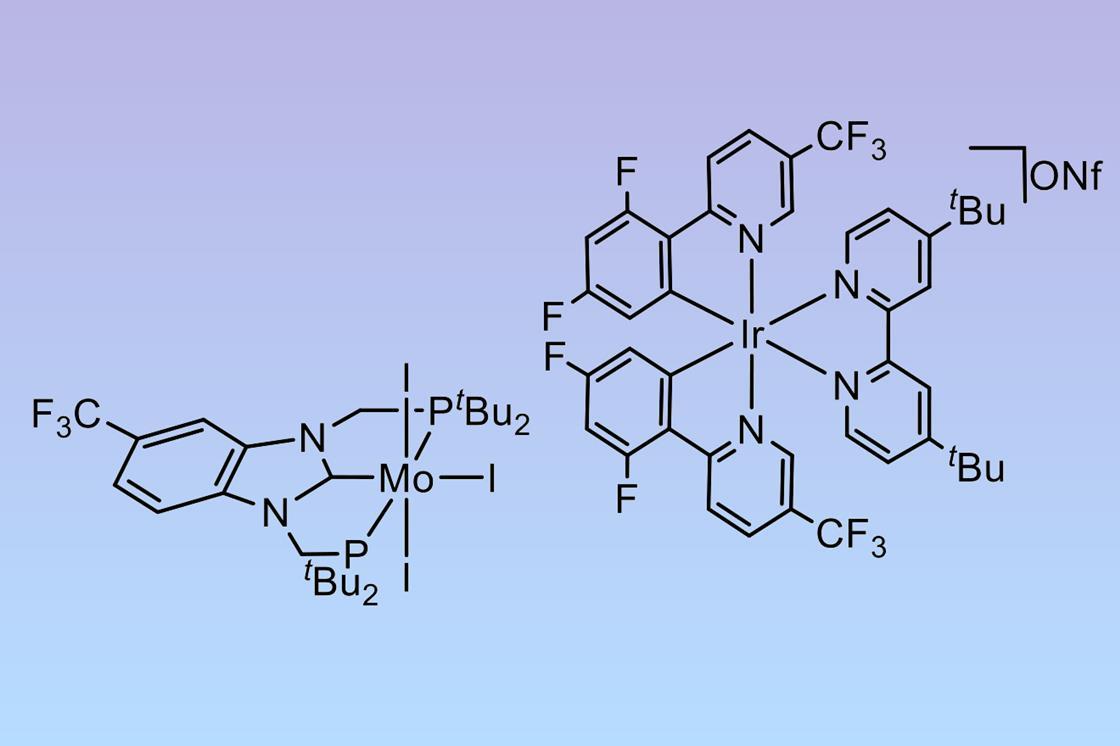 Revolutionizing Ammonia Production: Solar-Powered Catalytic Reaction Offers Sustainable Alternative